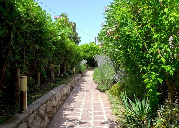 Buka Calm Viii By Interhome * プナト